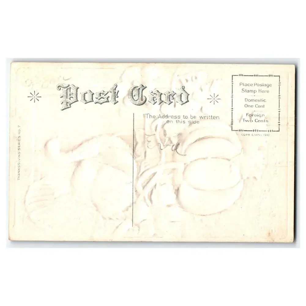 Vintage 1910 Thanksgiving Turkey Pumpkin Embossed Postcard E.N. Ashworth